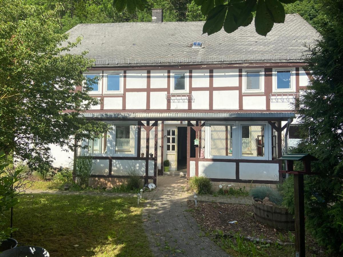 Zeitreise- Haus Mit 5 Schlafzimmern Diemelsee Ngoại thất bức ảnh
